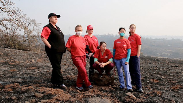 Volunteers with NNU’s disaster relief project, the RN Response Network, assess California wildfire damage.