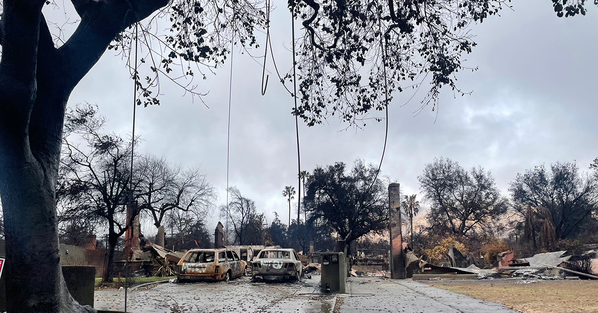 Destroyed homes and cars in the aftermath of the Altadena fire.