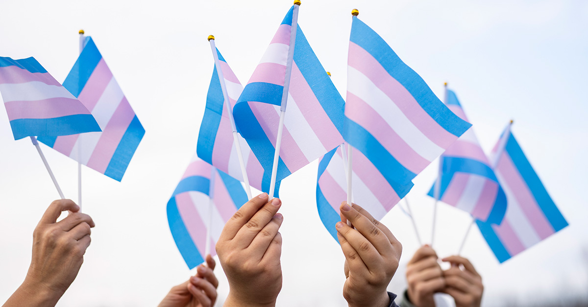 Hands holding trans rights flag